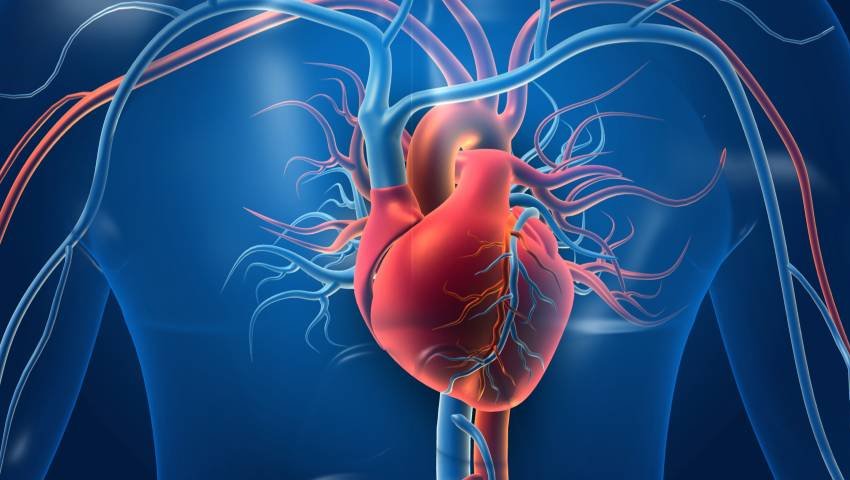 Cardiology and Cardiovascular Billing